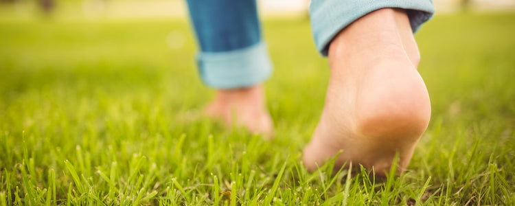 Lorem ipsum dolor sit amet.