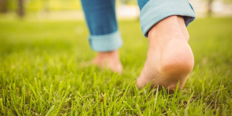 Lorem ipsum dolor sit amet.